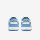 Nike Dunk Low Coast (DD1503-100)