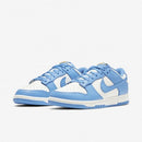 Nike Dunk Low Coast (DD1503-100)