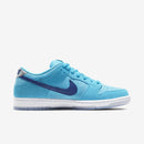 Nike SB Dunk Low Pro Blue Fury (BQ6817-400)