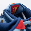 Nike SB Dunk Low Pro Why So Sad? (DX5549-400)